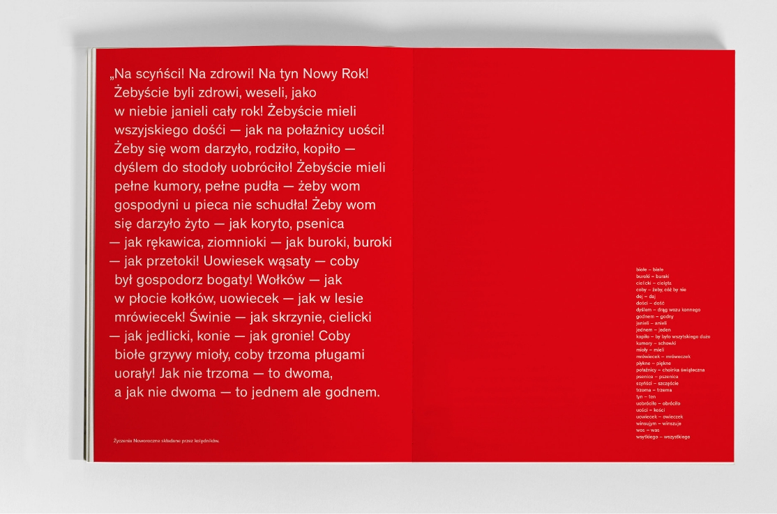 Zdjęcie przedstawiające Record Store Day – elementy identyfikacji wizualnej